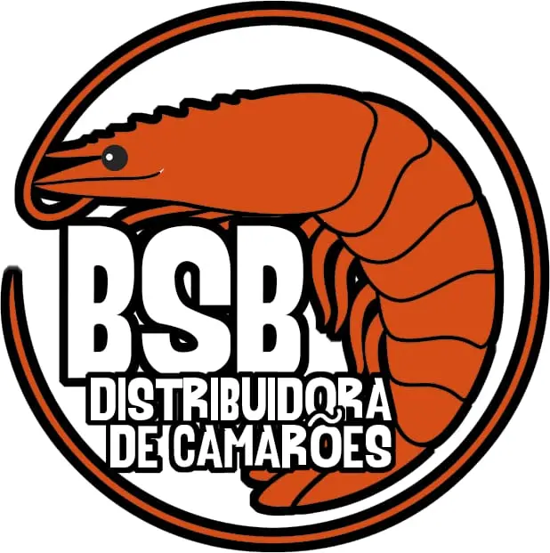BSB Camarões